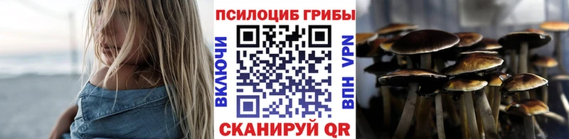 Псилоцибиновые грибы Cubensis Нижний Новгород